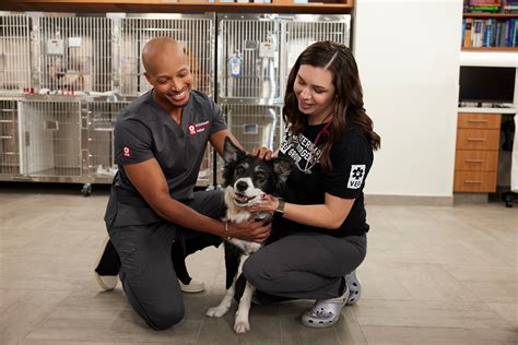 vet danville ca  We take great care in early detection and wellness programs to ensure you pet is cared for from the start of their lives to the end